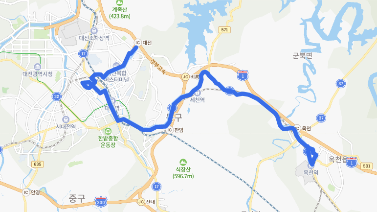[대전] 607번버스 노선, 시간표 : 대전복합터미널, 삼성동, 대전역, 중앙시장, 옥천시외버스정류장