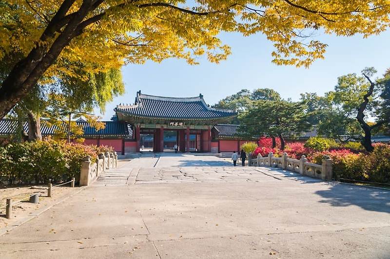 서울 고궁 여행 - 창덕궁 전각 가을 풍경