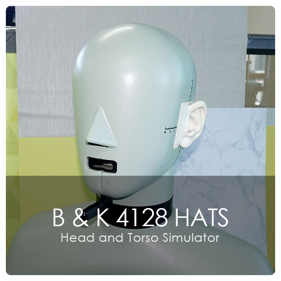 헤드 앤 토르소 시뮬레이터 중고계측기판매 Bruel & Kjaer Type 4128 HATS Head and Torso Simulator   중고계측기대여 판매수리교정