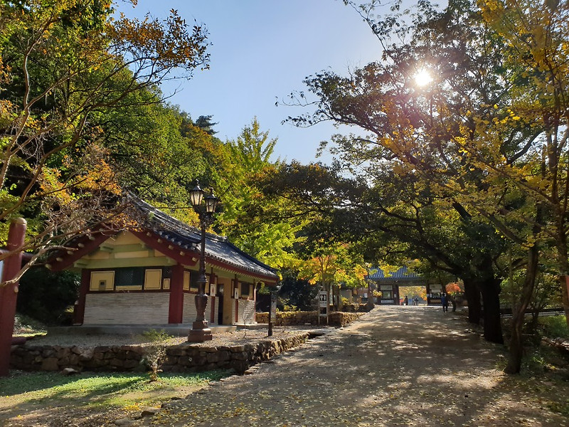 순천 송광사. 조계산. 가을단풍.