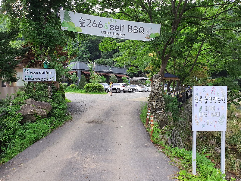 숲266 카페(서울 근교 가볼만 한 곳,광릉 수목원 근처, 물놀이 바베큐 카페)