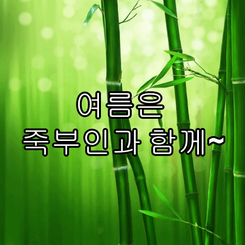 여름은 죽부인과 함께~