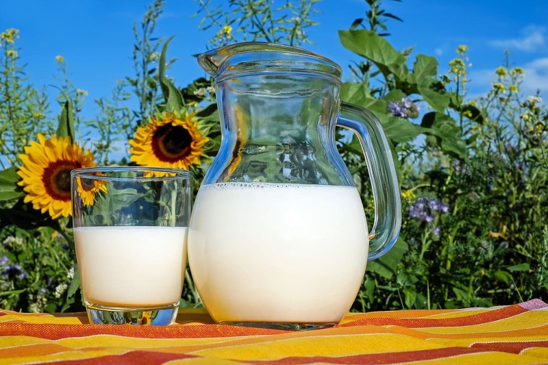 우유가 골다공증을 일으킨다?