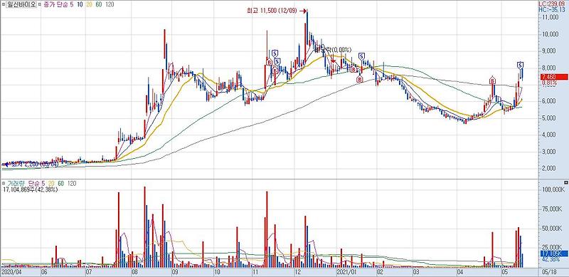 특징주 뉴스를 통해 찾은 콜드체인 관련주 일신바이오 주가 전망