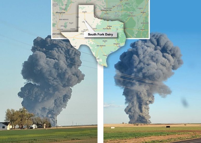 텍사스 낙농장 끔찍한 폭발 화재 사고