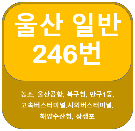 울산 246번 버스 노선 정보(울산공항, 고속버스터미널, 장생포)