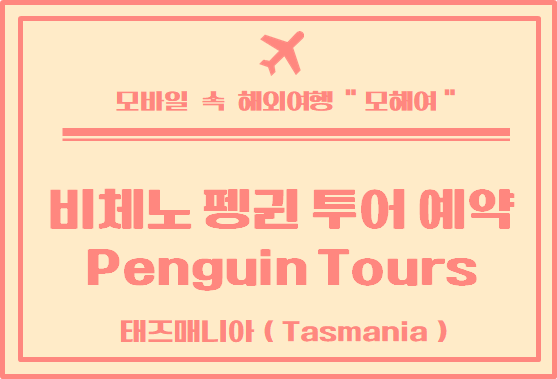 태즈매니아 여행 피체노 펭귄 투어 예약하는 방법(Bicheno Penguin Tours)