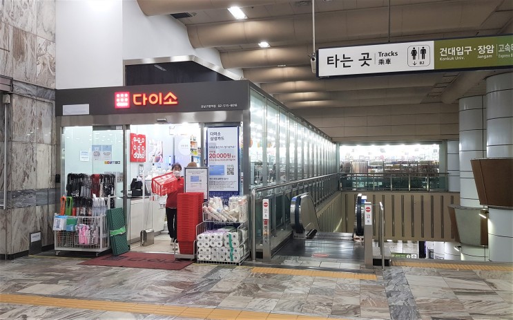 서울의 중심, ‘다이소 강남구청역’의 펫용품 코너