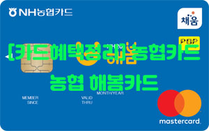 [카드혜택정리] 농협카드…농협 해봄 신용카드(NH20해봄카드)