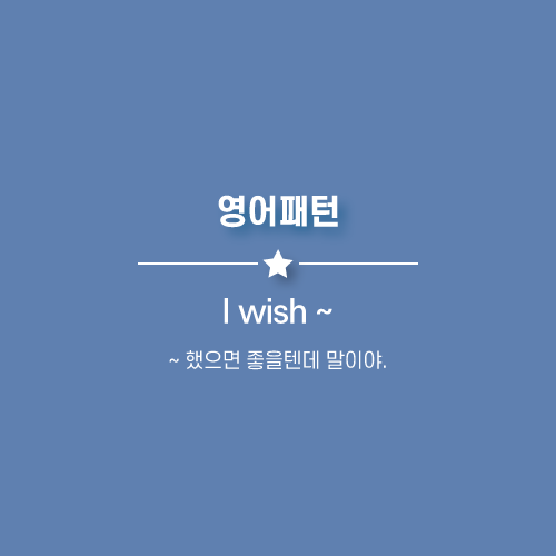 I wish ~ : 나는 ~ 했었으면 좋을텐데. 영어로.
