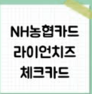 NH농협카드 라이언 치즈 체크카드 혜택과 장점: 총정리