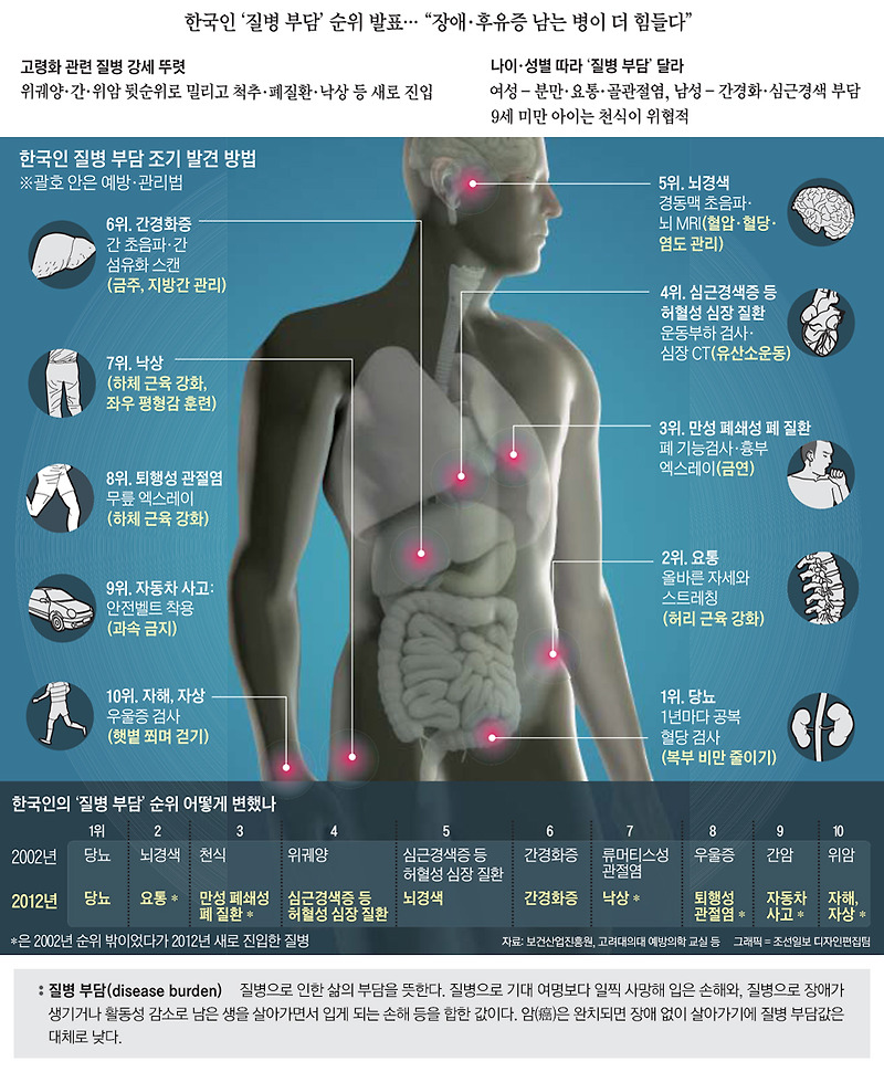 한국인의 10대 질병