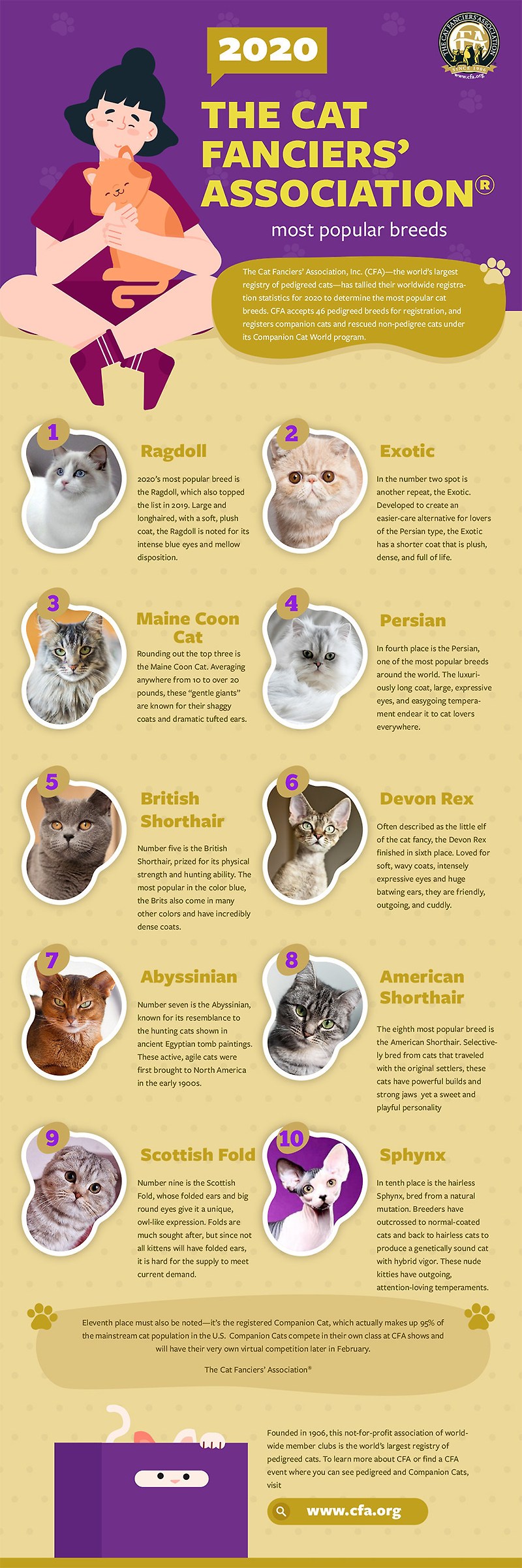 국제고양이애호가협회(CFA), 2020년 가장 인기있었던 10가지 고양이 품종 공개