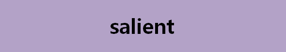 뉴스로 영어 공부하기: salient (핵심적인)