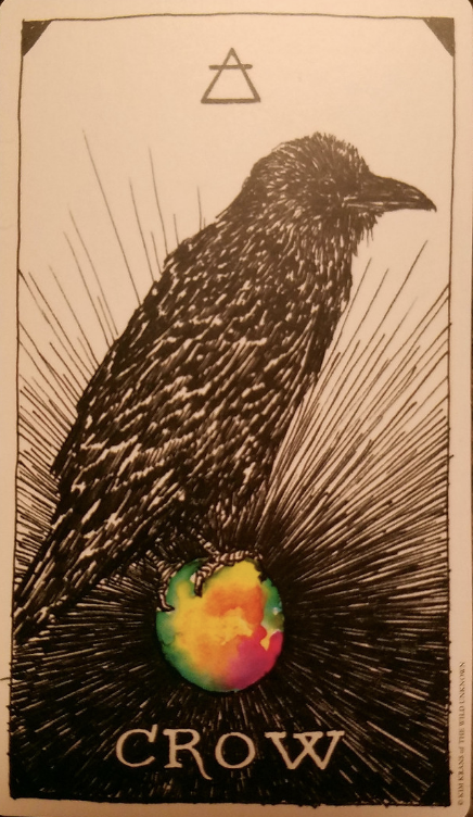 [오라클카드배우기] The wild unknown animal spirit 와일드 언노운 애니멀 스피릿 Crow 까마귀 해석 및 의미