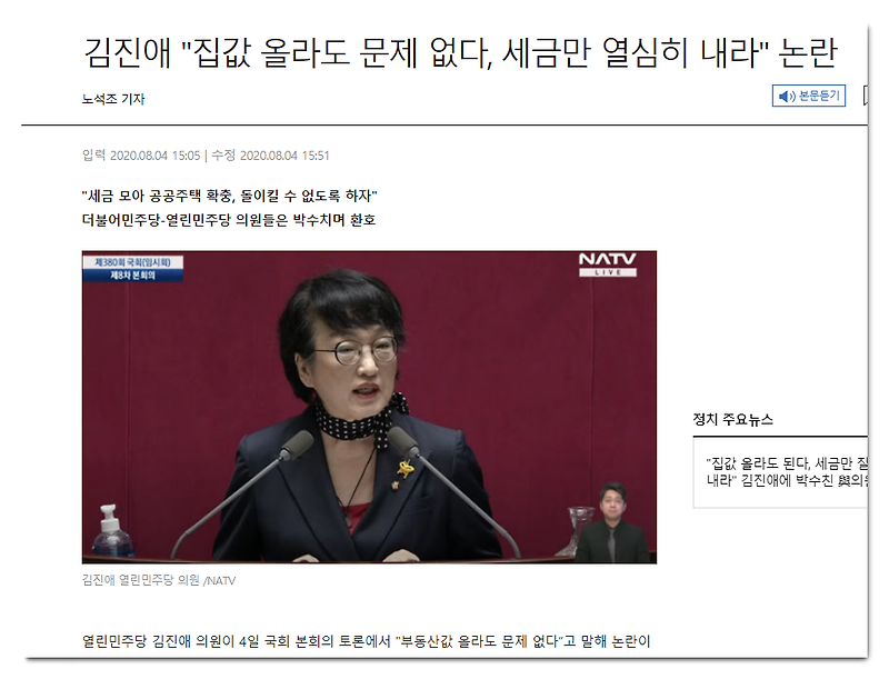 김진애 국회의원 논란