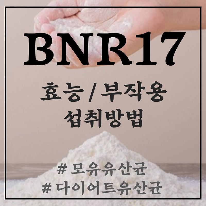 BNR17 유산균 효능 알고 먹어야! (+다이어트, 부작용, 모유유산균)