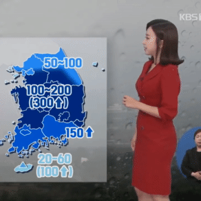 전국 폭우 또, 폭우 피해 사진들과 주말 일기 예보 동영상(feat. 여의도 잉어, 붕어, 메기)