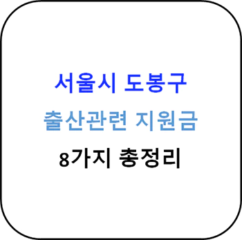 2024년 서울시 도봉구 출산지원금 8종 완벽 가이드