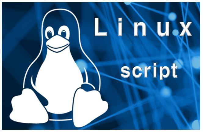 리눅스 script 명령어 사용법 리눅스  실시간 터미널 로그 남기기