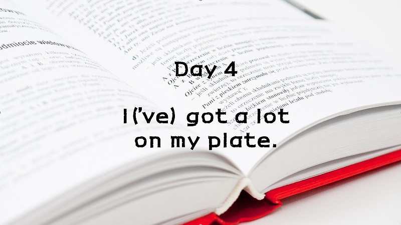 Day 4. I've got a lot on my plate.