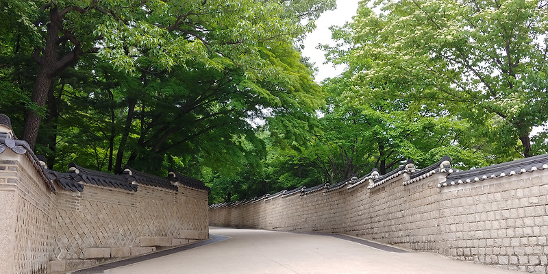 Take a walk around Changdeokgung rear garden, the most beautiful and natural garden in the world, as if I`m the knig of Joseon dynasty!