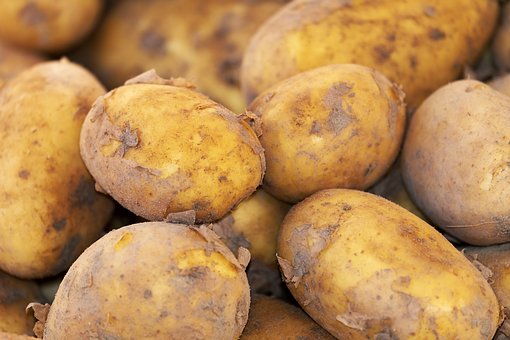 감자 효능, 우리가 감잡지 못했던, 감자의 효능 5가지!
