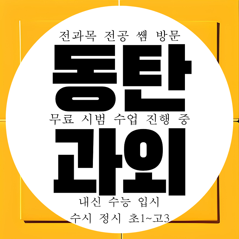 동탄 초등 영어과외 중학생 수학과외 국어 과학 사회 한국사 역사 과외