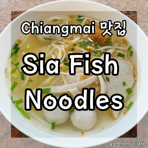 치앙마이 시아피시누들 어묵국수 Chiangmai Sia Fish Noodles