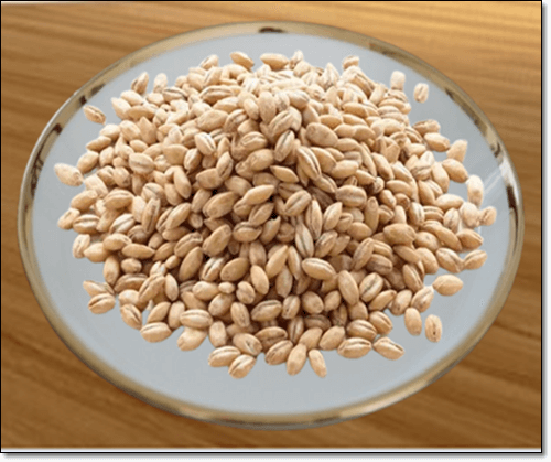 보리쌀 효능 및 성분 보리쌀 밥짓기