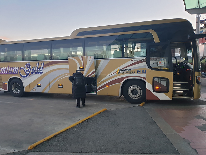 코로나 시국 고속버스 프리미엄으로 안전하게 타기 : 버스 와이파이, 모바일 어플로 예매하기