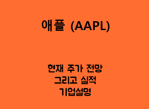 애플 (AAPL) 온통 애플 세상이야.