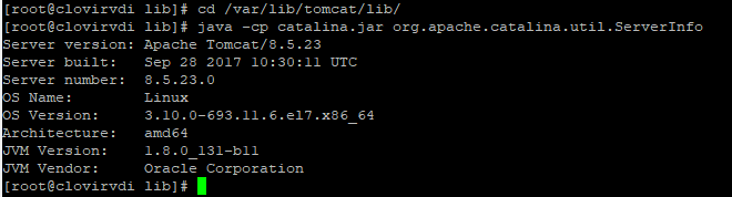 [Tomcat] Linux 톰캣 버전 확인 방법