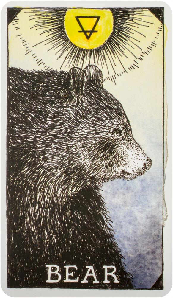 [오라클카드배우기/와일드언노운애니멀스피릿]The Wild Unknown Animal Spirit Bear 곰 해석 및 의미
