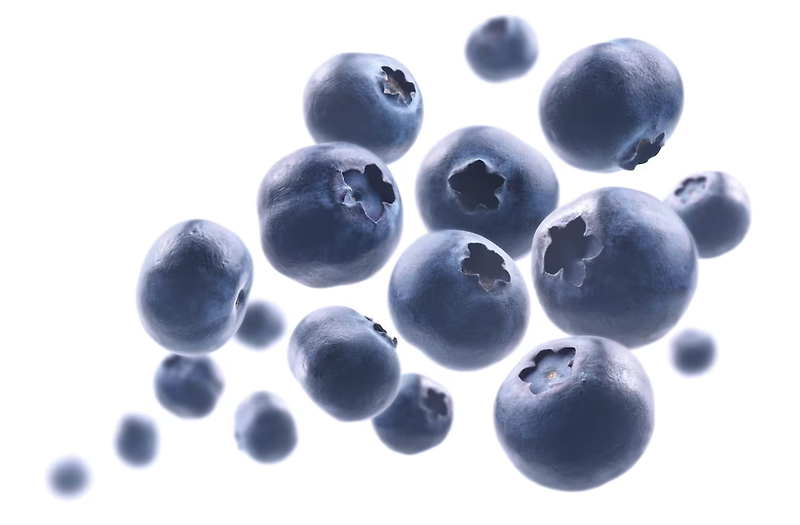 세계 10대 푸드 블루베리 효능과 올바른 섭취 방법!