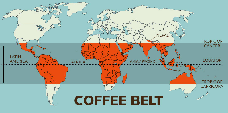 바리스타자격증 1급 1강: 커피의 기원 - 커피의 유래   칼디, 오마르, 프로코프, 브라질