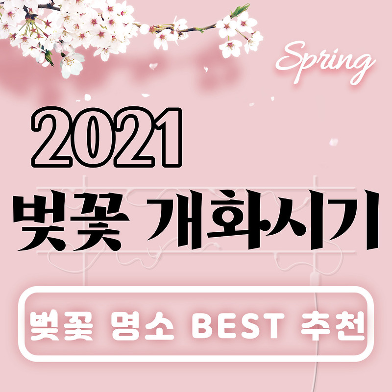 2021 벚꽃(개나리,진달래) 개화시기 / 벚꽃 명소 best 추천 / 윤중로 벚꽃축제, 서울근교 데이트
