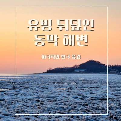 한국에도 이런 풍경이~ 유빙 뒤덮인 강화도 동막해변
