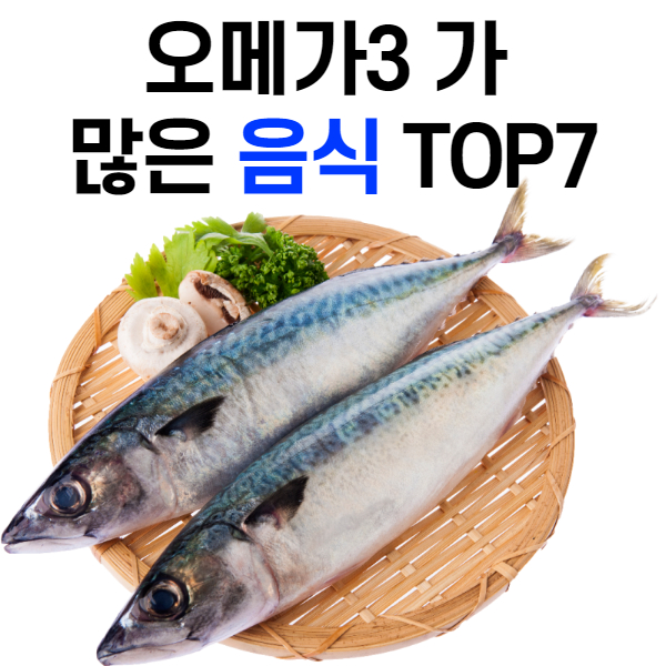 오메가3 가 많은 음식순위 TOP7 와 효능[Health]