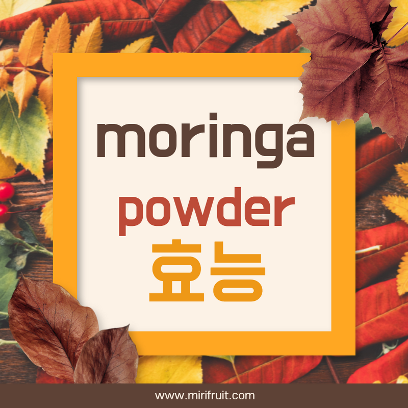 moringa powder 효능 비교 정리