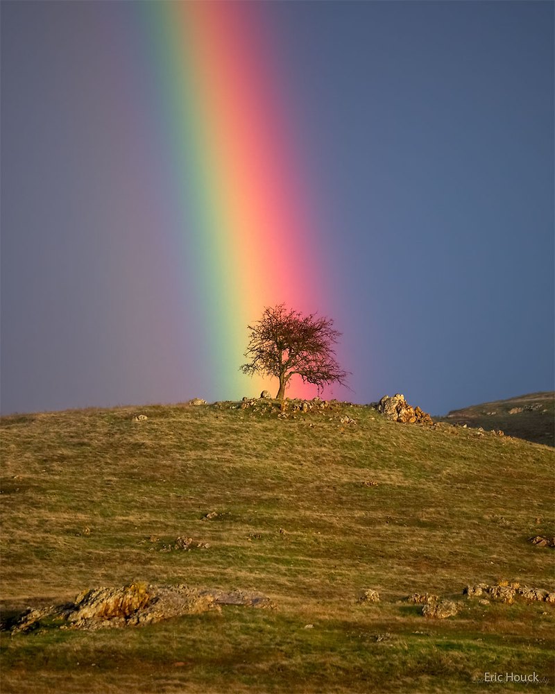 [NASA 오늘의 사진] Rainbow Tree