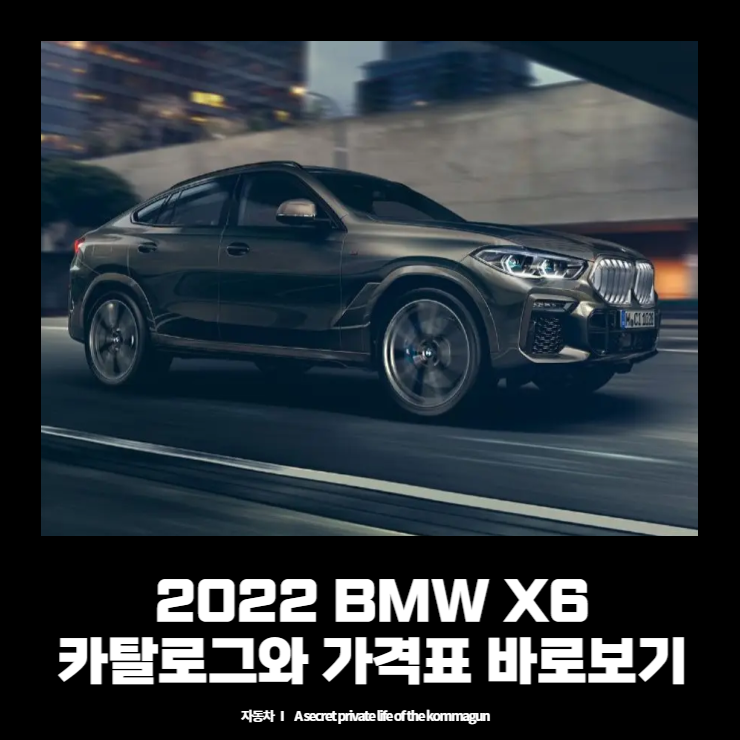 BMW X6 카탈로그와 가격표 바로보기