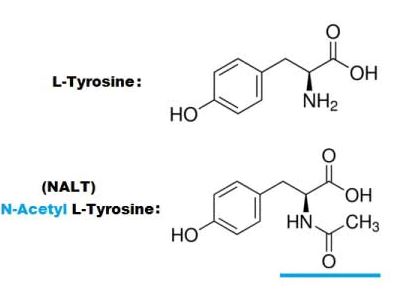뇌건강 영양제 N아세틸L티로신(N-Acetyl L-Tyrosine) 효능