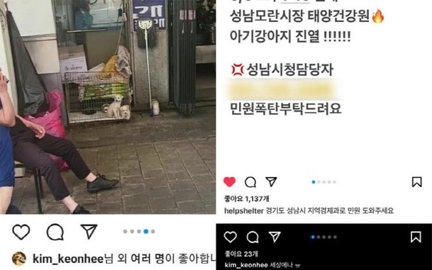 김건희 여사 개고기 분노 표출, 성남 모란시장 건강원 강아지 사체 토막 전시 반대
