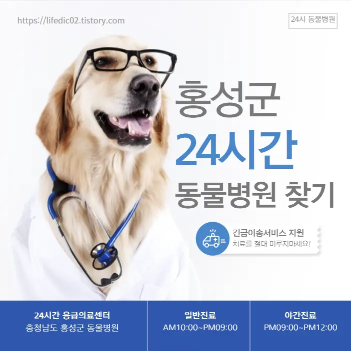 홍성군 24시간 동물병원 찾기 근처 야간 일요일 고양이 병원 23곳