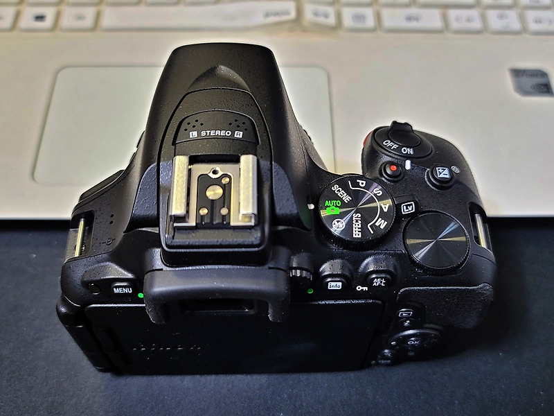 니콘 D5500 카메라 리뷰(1)