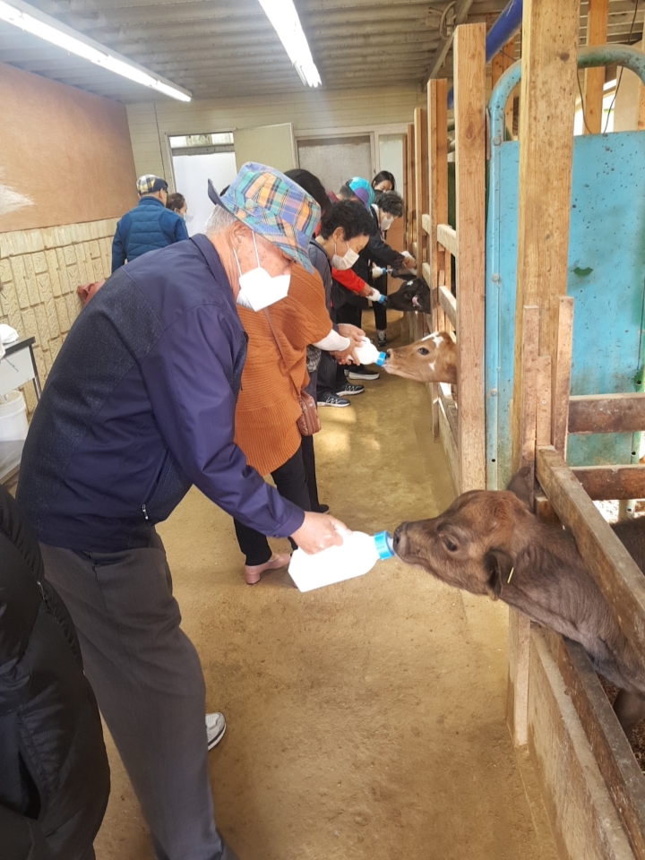 김포시보건소, 치매어르신 목장체험 농림치유 프로그램 진행