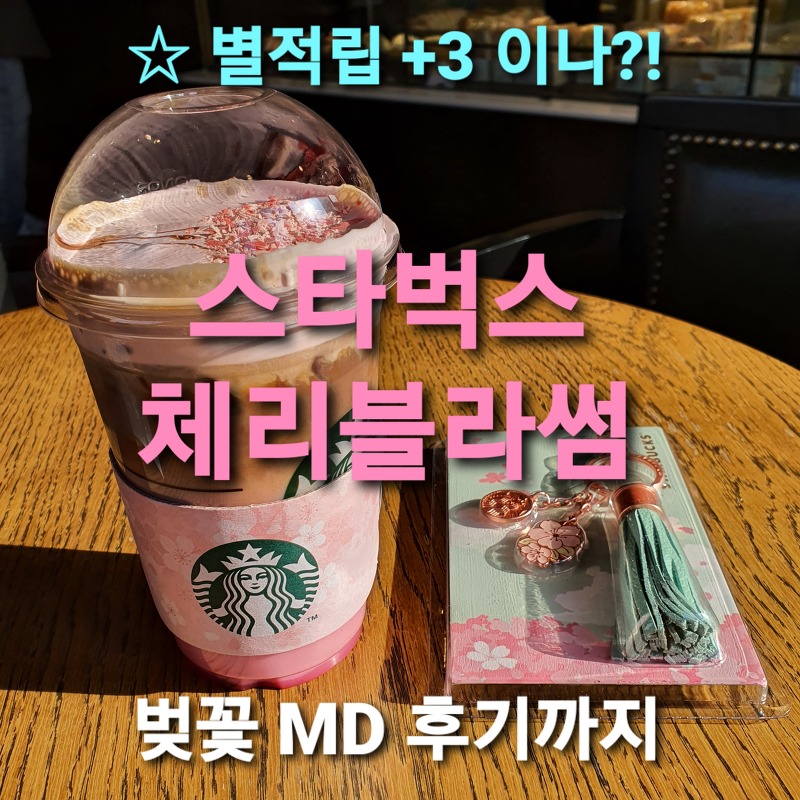 스타벅스 체리블라썸 별적립, 벚꽃 MD 가격!(체리블라썸 루비 라떼,스타벅스 카밥)