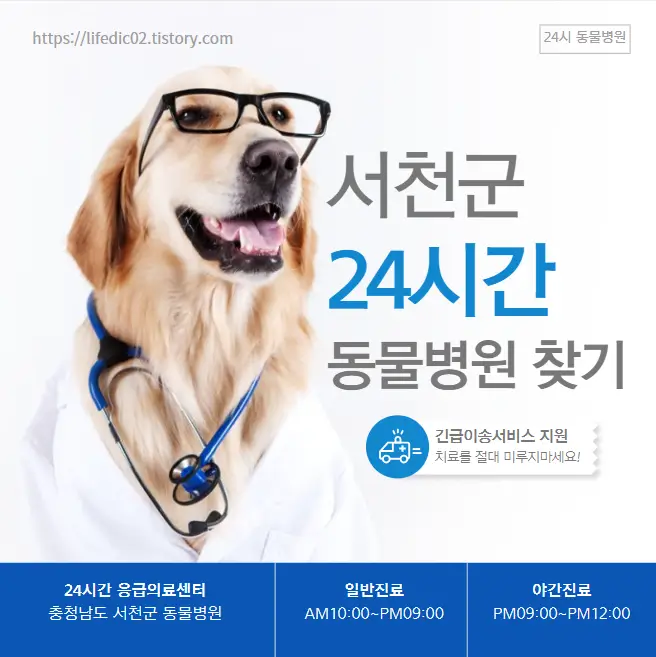 서천군 24시간 동물병원 근처 야간 일요일 강아지 병원 찾기