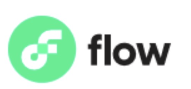 플로우(FLOW) 코인 전망, 가격 전망과 정보